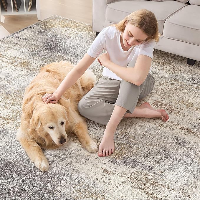 DMOYEST Area Rug Living Room Rugs - Image 4