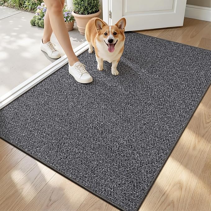 LUMI Ultra Thin Indoor Door Mat by LUMI