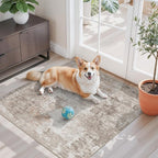 3x3 Square Entryway Rug Washable – Non-Slip Small Area Rug by ZHXXUJ