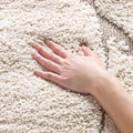 SAFAVIEH Florida Shag Collection Accent Rug by Unknown