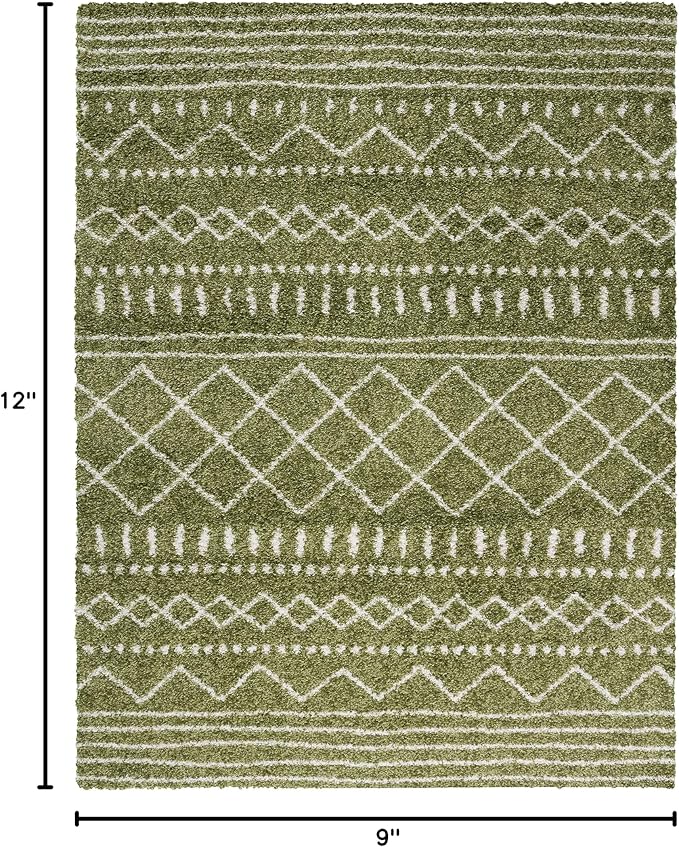 SAFAVIEH Area Rug 9x12 - Image 2