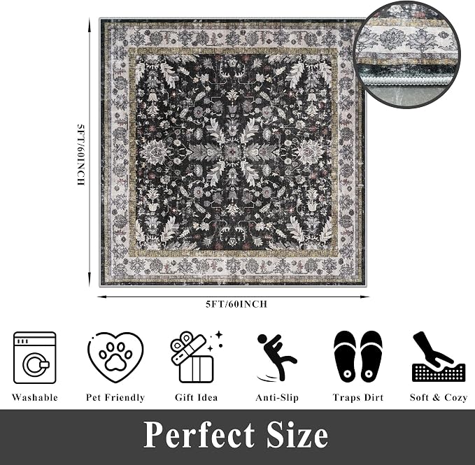 Square Rugs 5x5 Washable for Entryway: Non Slip Indoor Foot Carpet for Living - Image 2