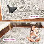 SAFAVIEH Adirondack Collection Area Rug - Image 10
