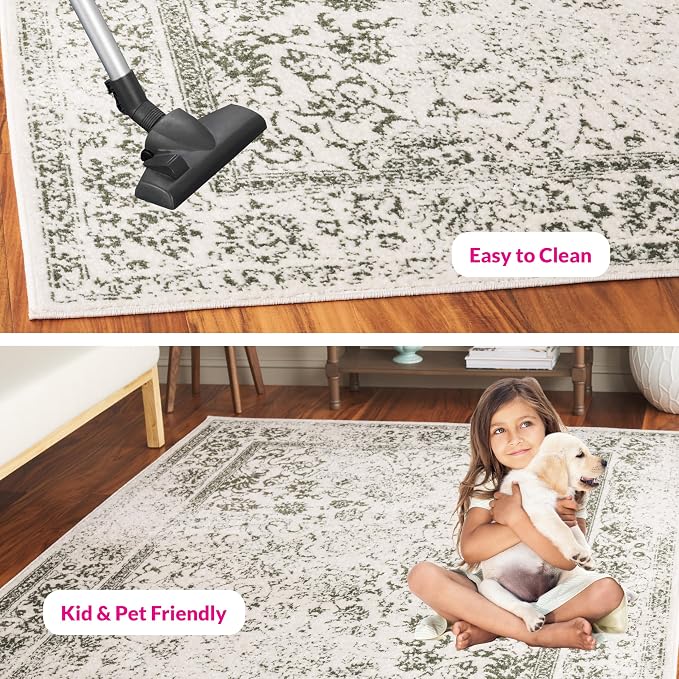 SAFAVIEH Adirondack Collection Area Rug - Image 8