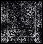 SAFAVIEH Adirondack Collection Area Rug by Unknown