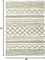 SAFAVIEH Area Rug 4x6 - Image 2