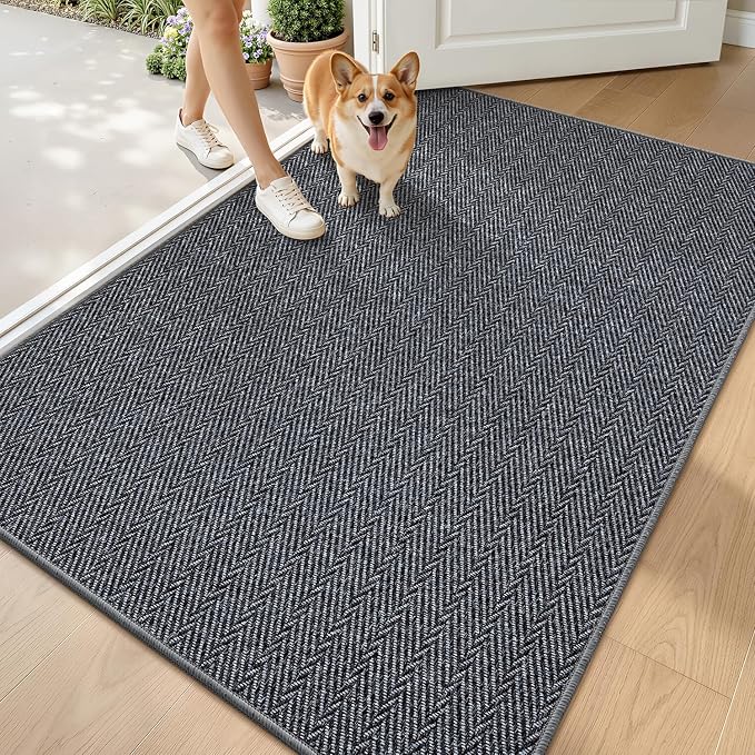 LUMI Ultra Thin Indoor Door Mat by LUMI
