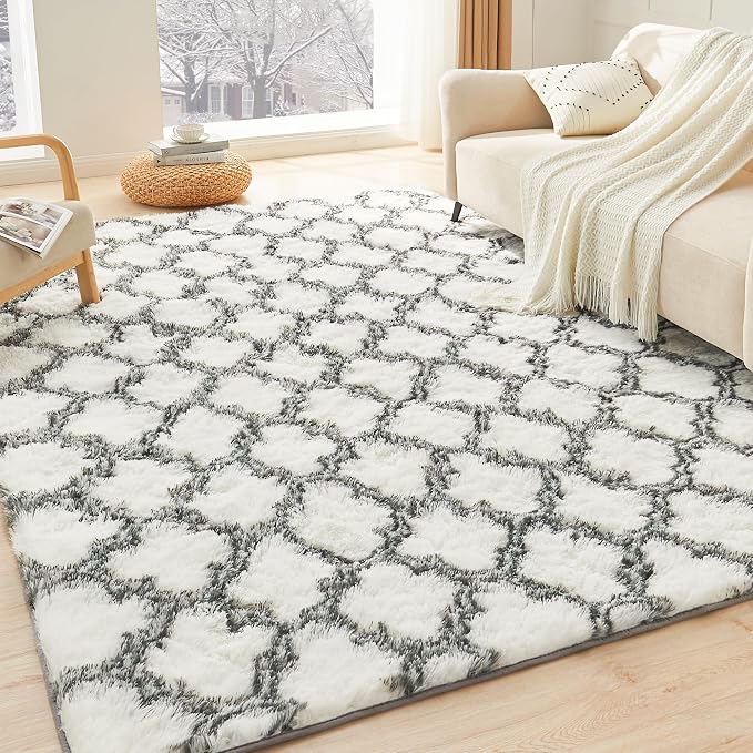 Litanika 4x6 Geometric Shag Area Rug by Litanika