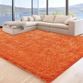 6x9 Orange Area Rugs for Living Room, Large Fluffy Shag Rug for Bedroom Nursery by Unknown
