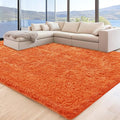 5x7 Orange Area Rugs for Living Room, Fluffy Shag Rug for Bedroom Nursery by Unknown
