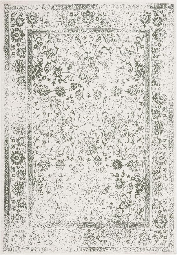SAFAVIEH Adirondack Collection Area Rug - Image 3