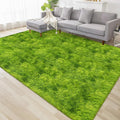 Tie Dyed Grass Green Shag Rug 6x9 Green Fluffy Area Rug Soft Plush Fuzzy Carpet by TENNOLA