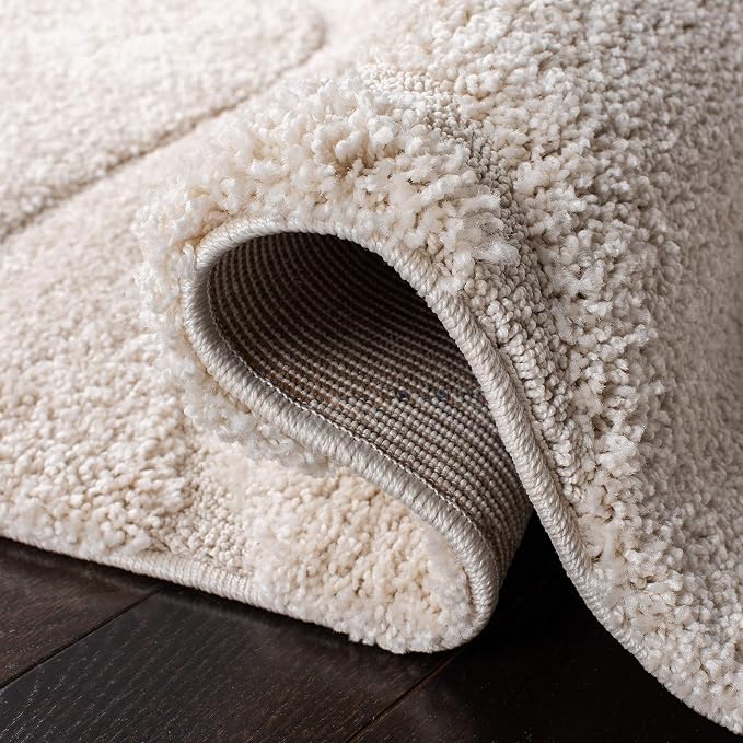 SAFAVIEH Area Rug 8x10 - Image 6