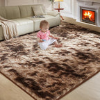 Ultra Soft Rug for Living Room, 6X9 Fluffy Shag Area Rug for Bedroom, Modern by Fairblink