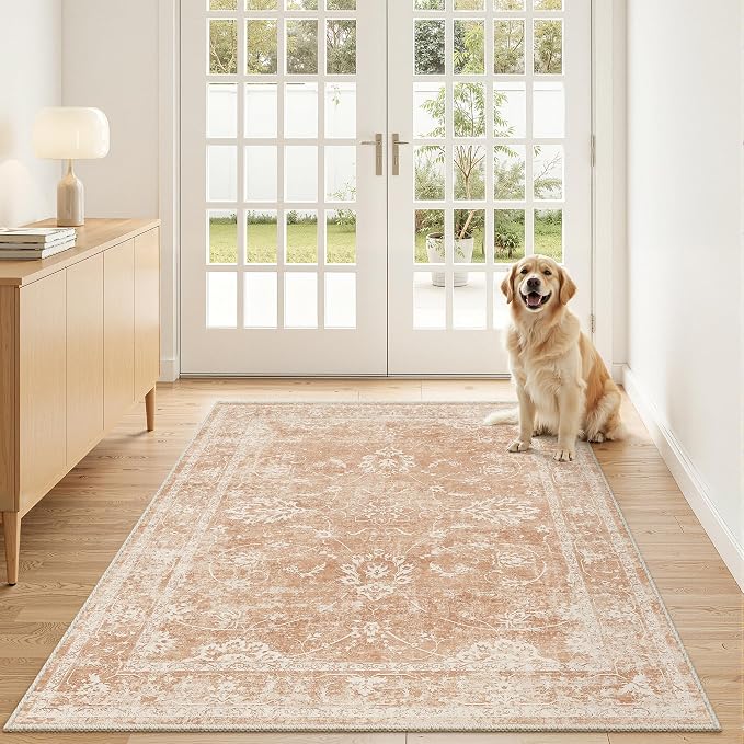 Madane 3x5 Area Rugs for Entryway, Washable Vintage Low Pile Non-Slip Throw by Madane