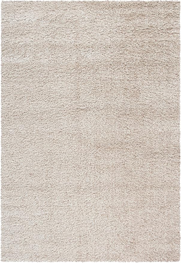 SAFAVIEH Area Rug 11x15 - Image 3