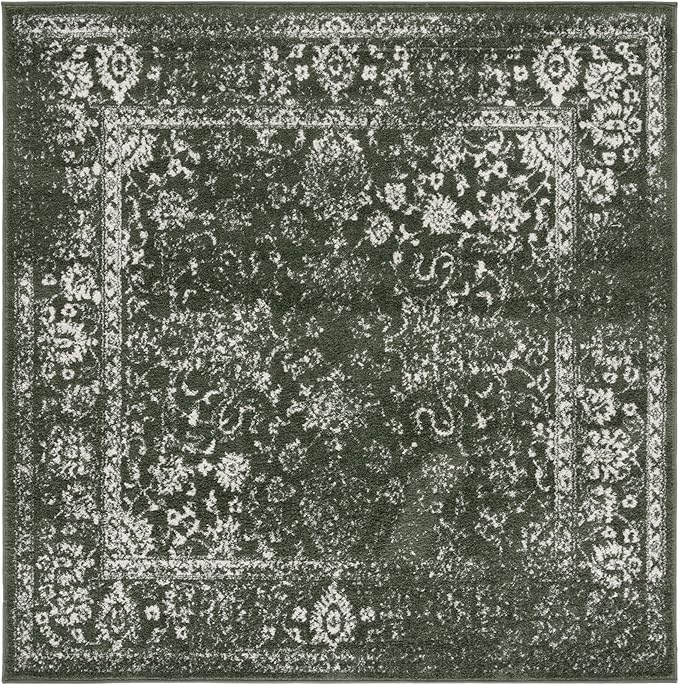 SAFAVIEH Adirondack Collection Area Rug by Unknown