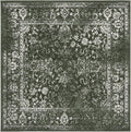 SAFAVIEH Adirondack Collection Area Rug by Unknown