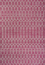 JONATHAN Y Moroccan Geometric Indoor Outdoor Area Rug 3X5 Fuchsia/Light Gray - Image 9