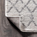 JONATHAN Y Boho Vintage Diamond Cream/Gray Indoor Area Rug 10X14 ft, Moroccan - Image 5