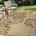 JONATHAN Y Floral Textured Weave Indoor Outdoor Area Rug 4X6 Sage/Brown by JONATHANY