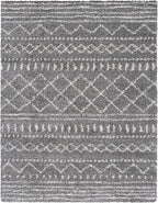 SAFAVIEH Area Rug 9x12 - Image 3