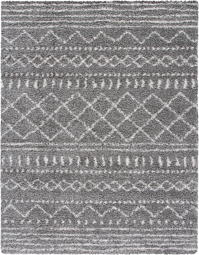 SAFAVIEH Area Rug 10x14 - Image 3