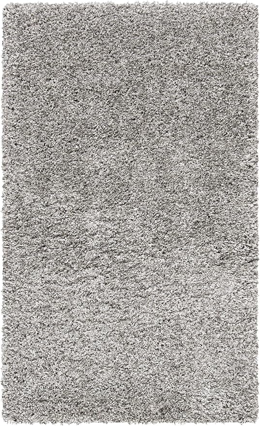 SAFAVIEH Area Rug 3x5 - Image 3