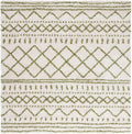 SAFAVIEH Arizona Shag Collection Area Rug by Unknown